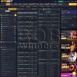  Ditobet Website