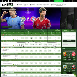 Linebet Welcome Offer