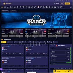 Roobet Betting Site
